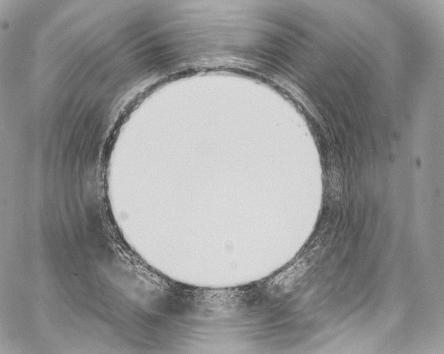 X0000067000832200604241402