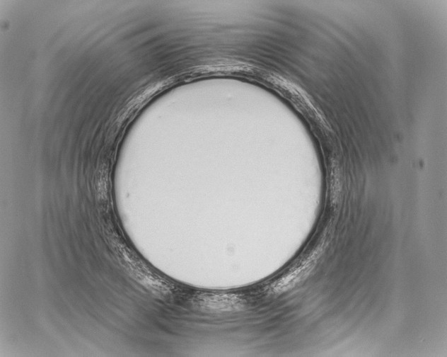 X0000067000833200604241402