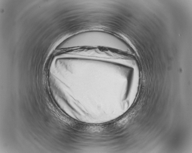 X0000067000835200604241402