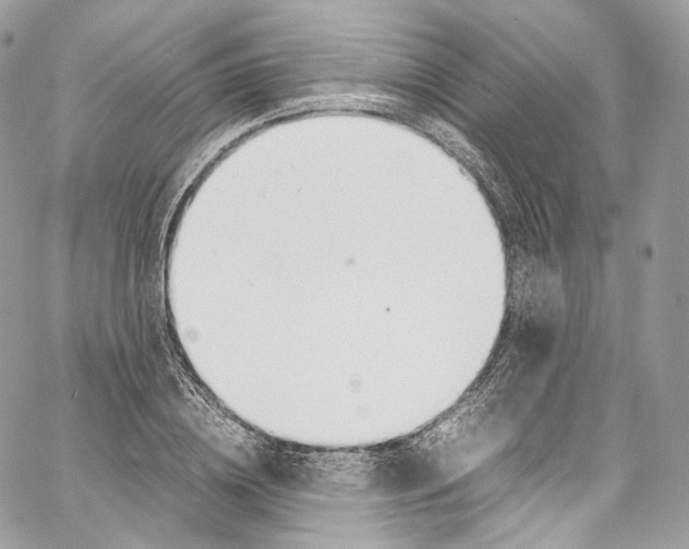 X0000067000836200604241402