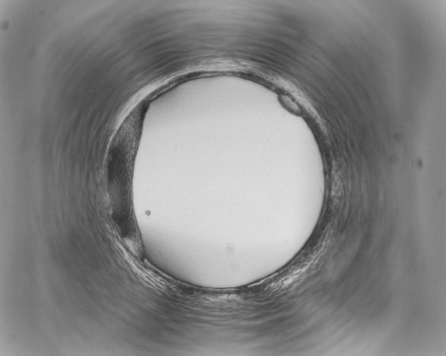 X0000067000837200604241402