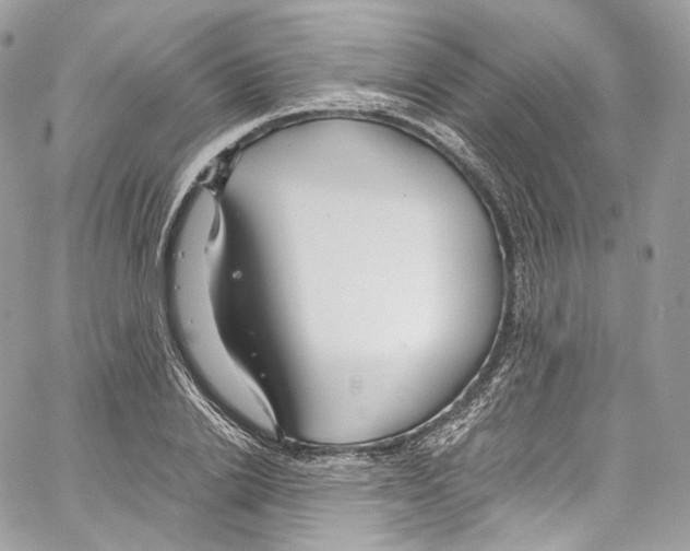 X0000067000838200604241402