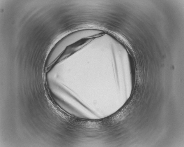 X0000067000839200604241402