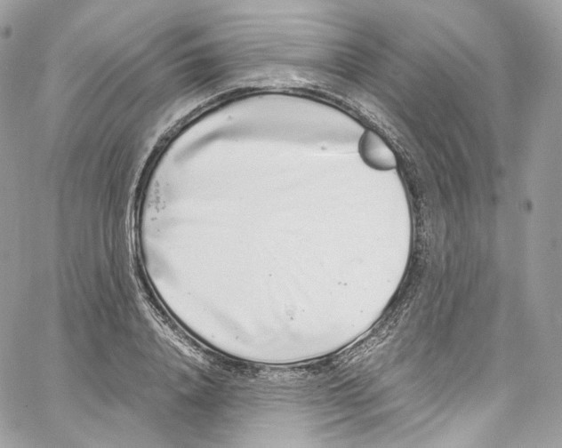 X0000067000840200604241402