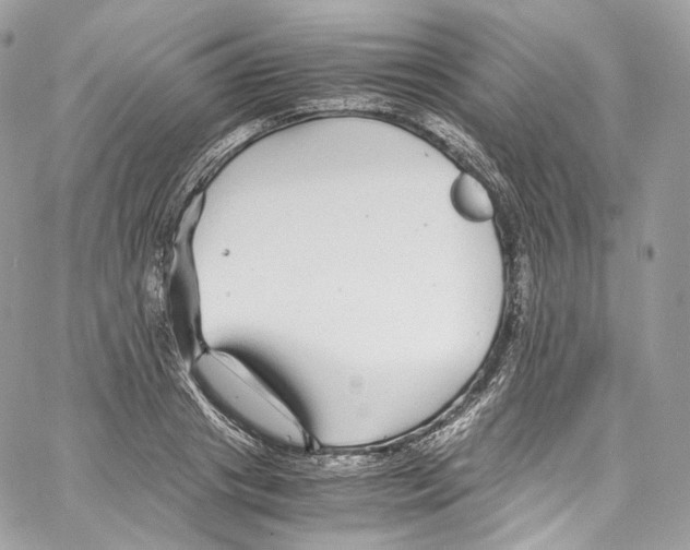 X0000067000841200604241402