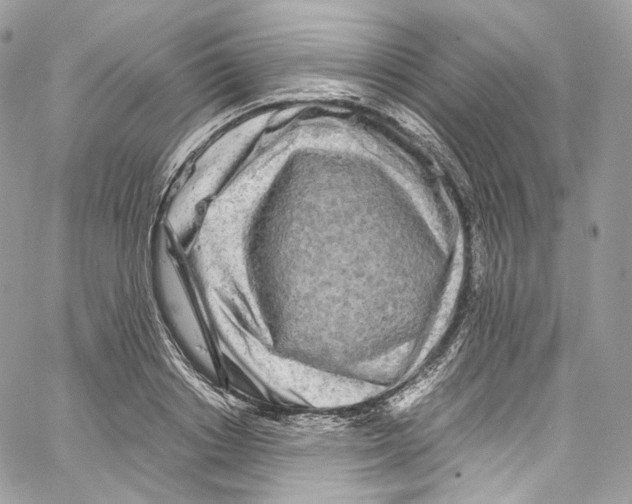 X0000067000842200604241402