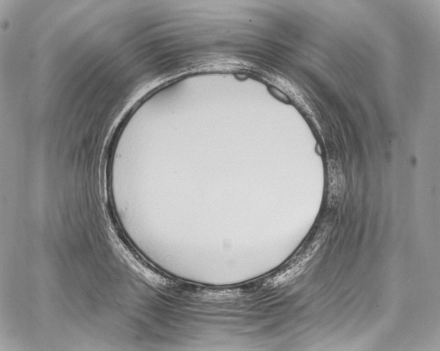 X0000067000843200604241402