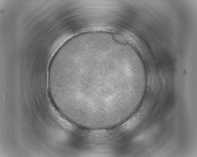 X0000067000844200604241402