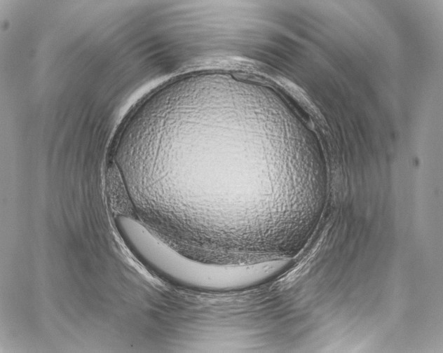 X0000067000846200604241402