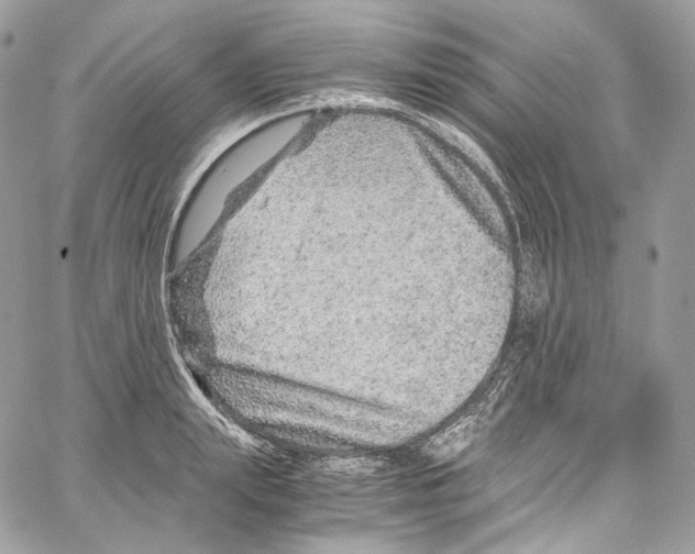 X0000067000847200604241402