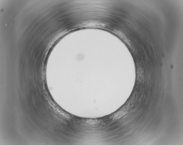 X0000067000848200604241402