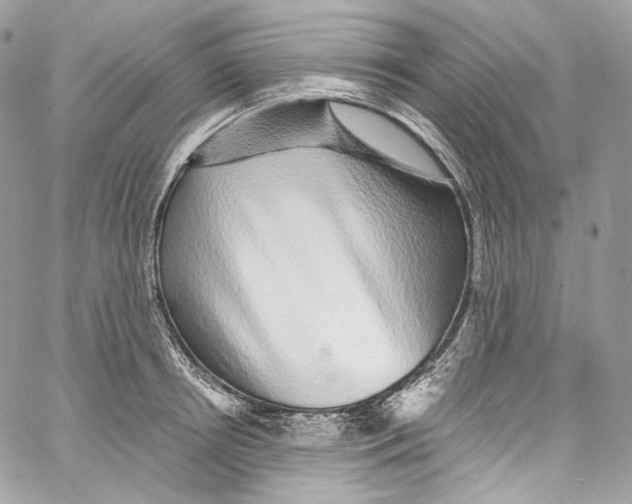 X0000067000850200604241402