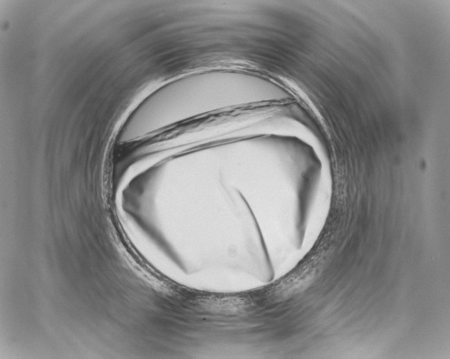 X0000067000851200604241402