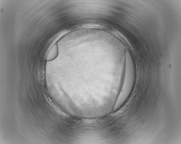 X0000067000852200604241402