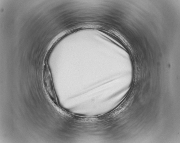 X0000067000853200604241402