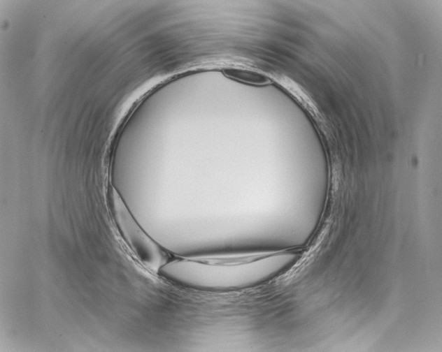 X0000067000854200604241402