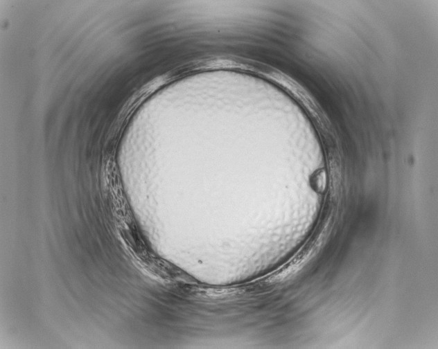 X0000067000857200604241402