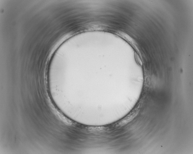 X0000067000859200604241402