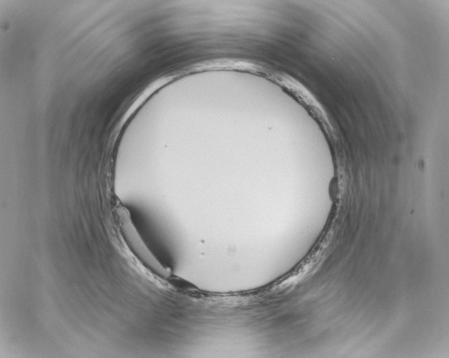 X0000067000860200604241402