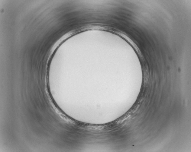 X0000067000861200604241402