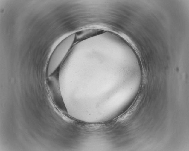 X0000067000862200604241402