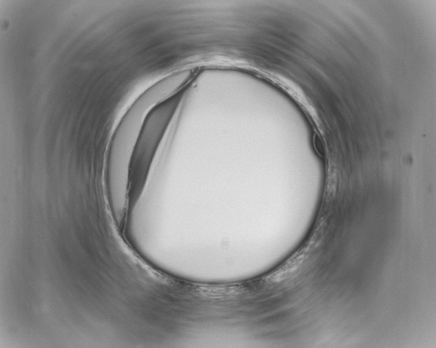 X0000067000863200604241402