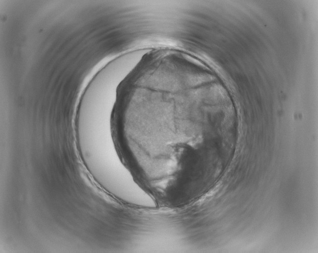 X0000067000864200604241402