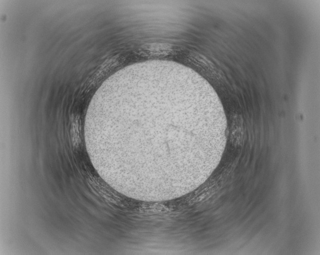 X0000067000866200604241402