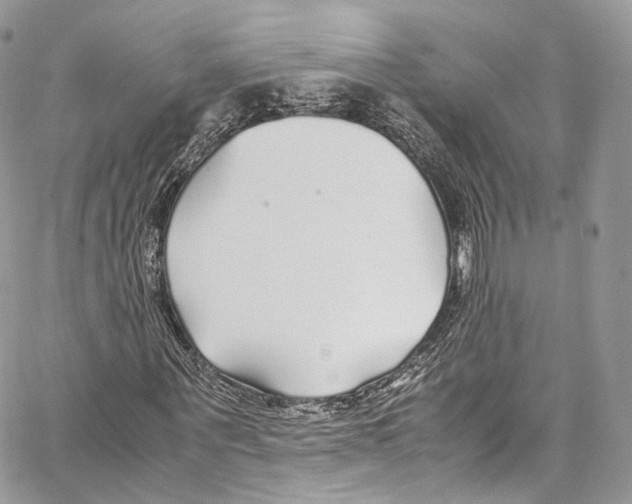 X0000067000867200604241402