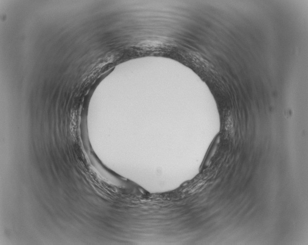 X0000067000868200604241402