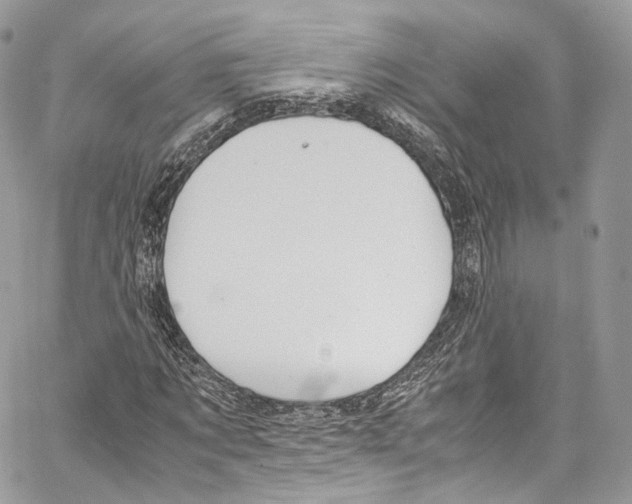 X0000067000869200604241402