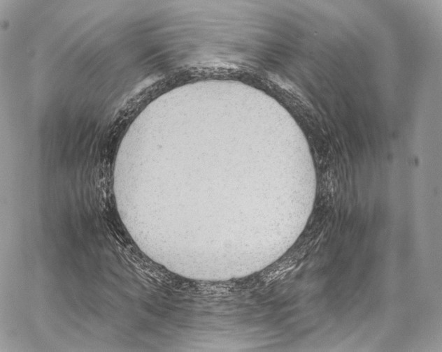 X0000067000870200604241402