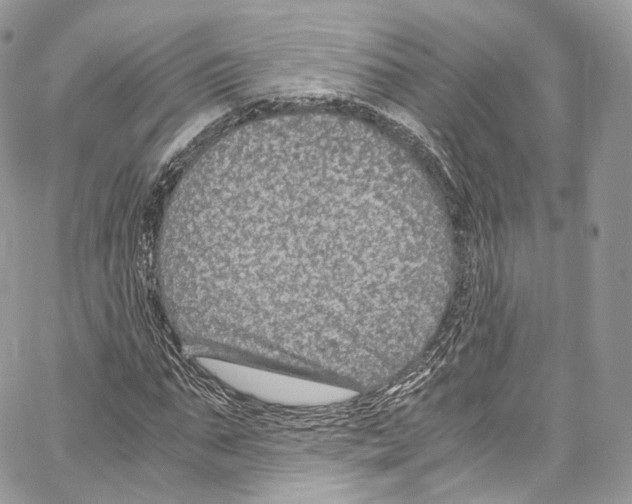 X0000067000871200604241402