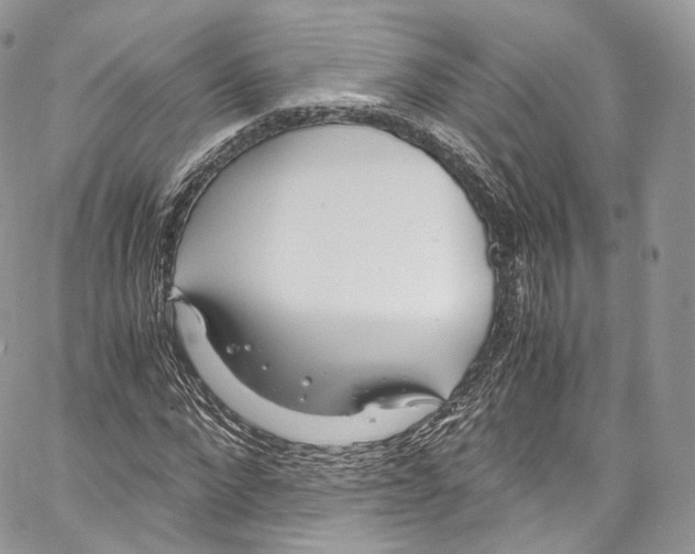 X0000067000872200604241402