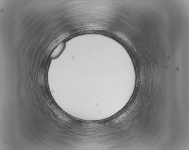 X0000067000873200604241402