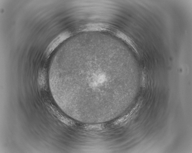 X0000067000874200604241402