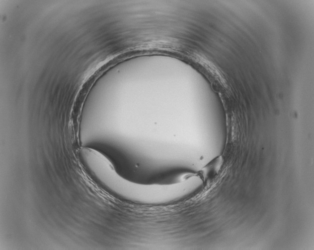 X0000067000876200604241402