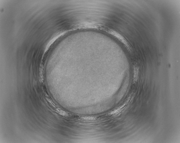 X0000067000878200604241401