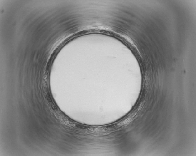 X0000067000879200604241401