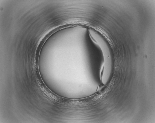 X0000067000880200604241401