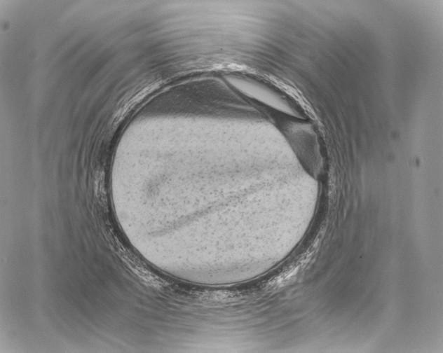 X0000067000881200604241401