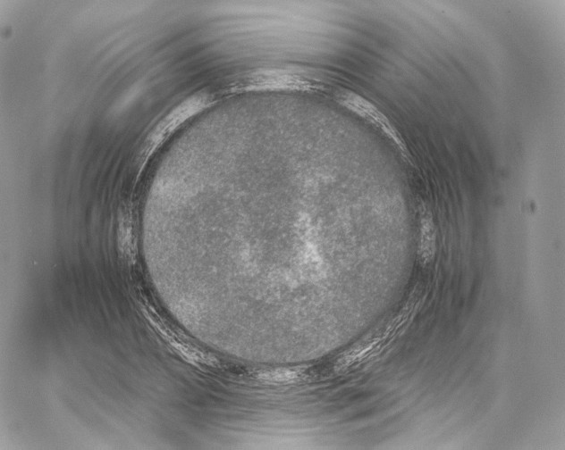 X0000067000882200604241401