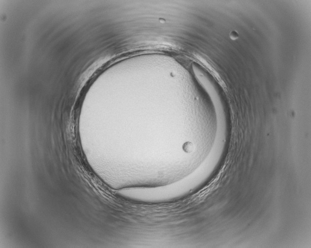 X0000067000883200604241401