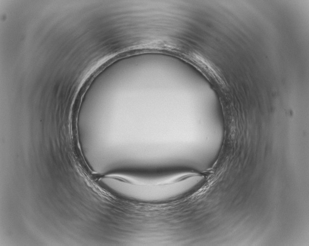 X0000067000884200604241401