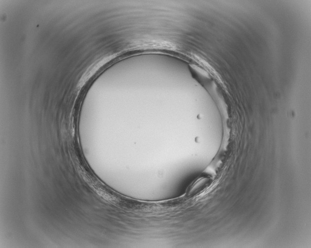 X0000067000885200604241401