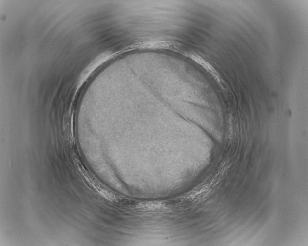 X0000067000886200604241401