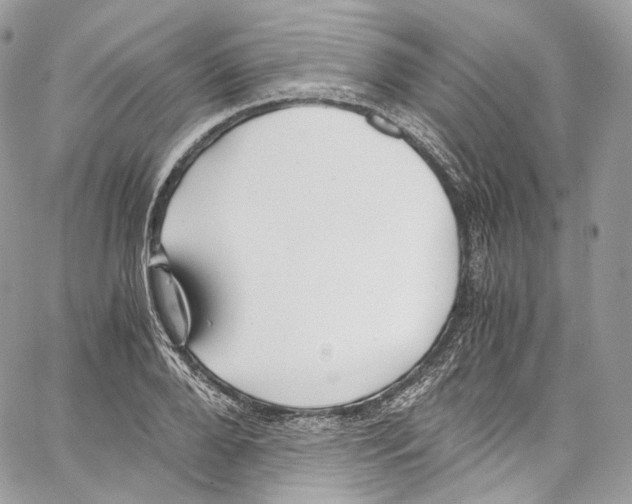 X0000067000888200604241401