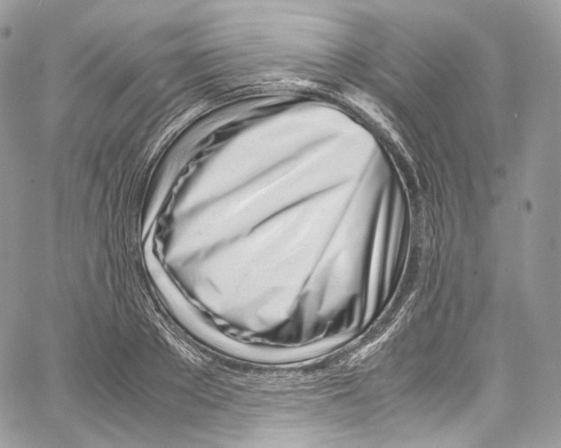 X0000067000889200604241401