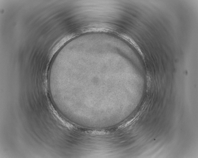 X0000067000890200604241401