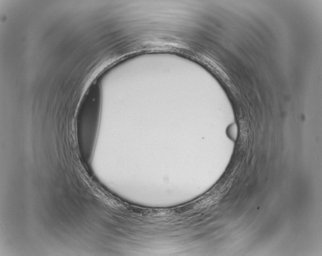 X0000067000891200604241401